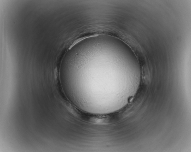 X0000116110563200911301125