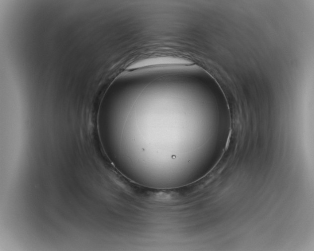 X0000116110566200911301125