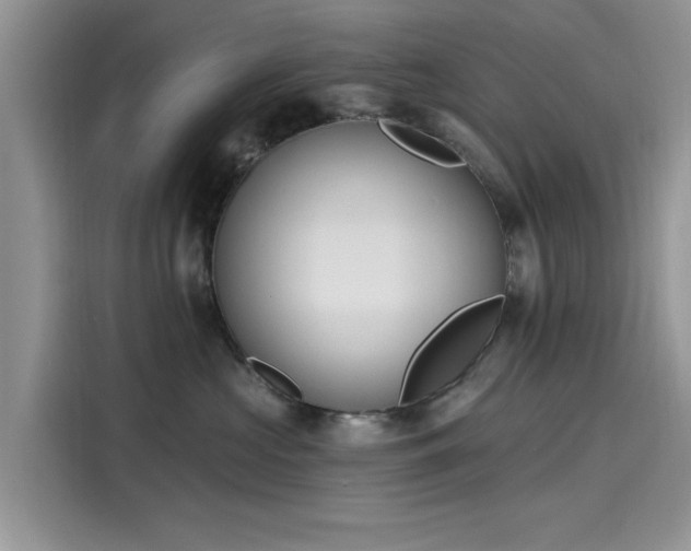 X0000116110573200911301125