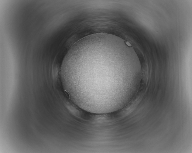 X0000116110574200911301125