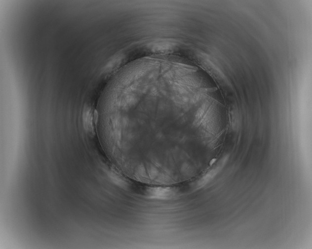 X0000116110575200911301125