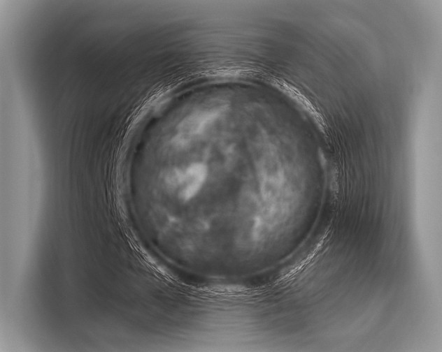 X0000116110577200911301125