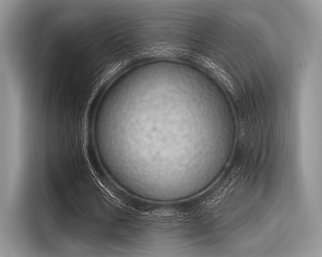 X0000116110578200911301125