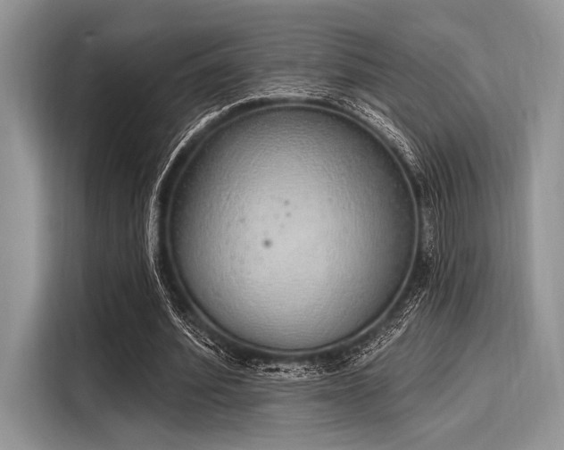 X0000116110580200911301125