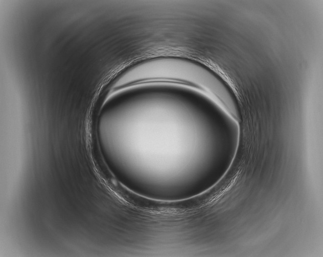 X0000116110581200911301125