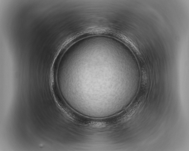 X0000116110582200911301124