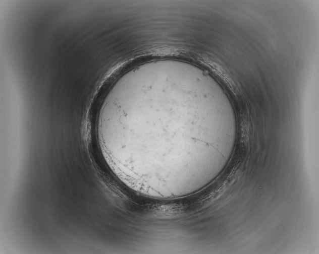 X0000116110584200911301124