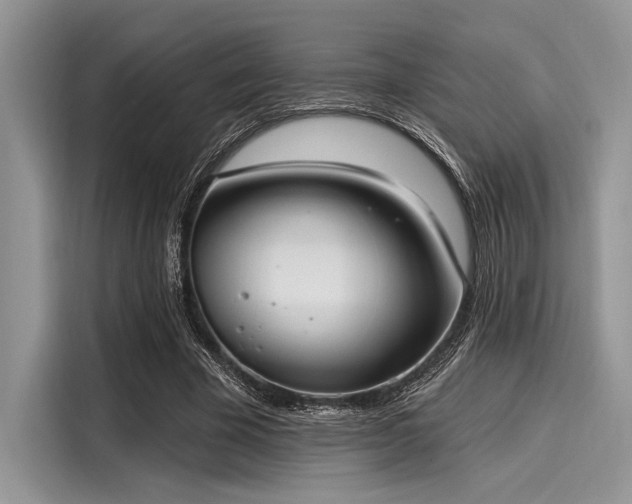 X0000116110585200911301124