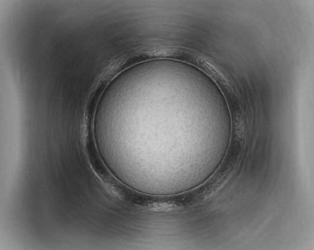 X0000116110586200911301124