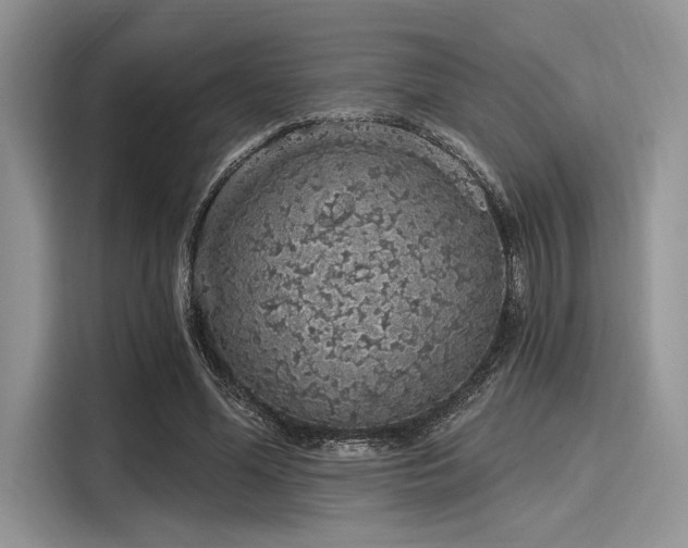 X0000116110588200911301124