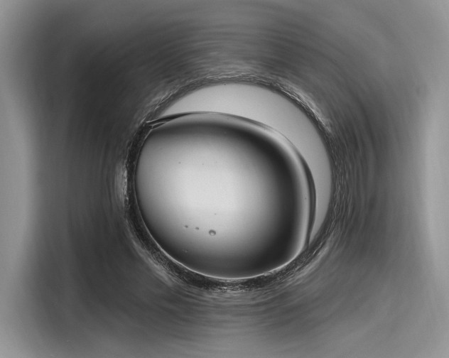 X0000116110589200911301124