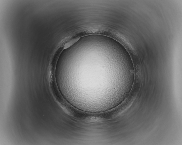 X0000116110590200911301124