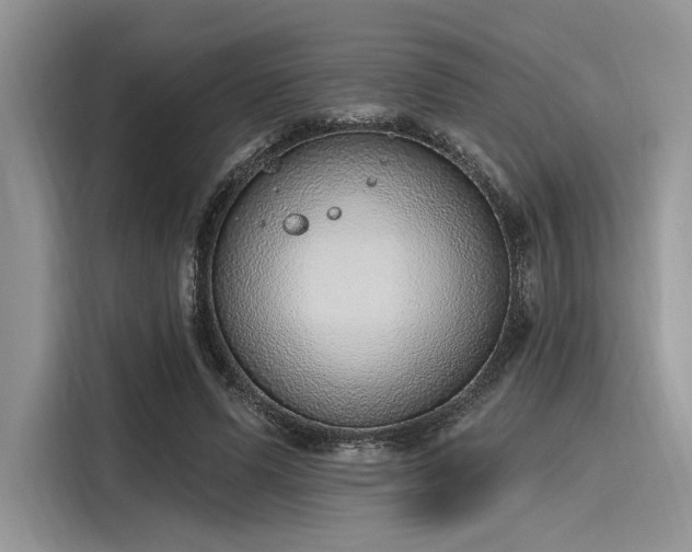 X0000116110591200911301124