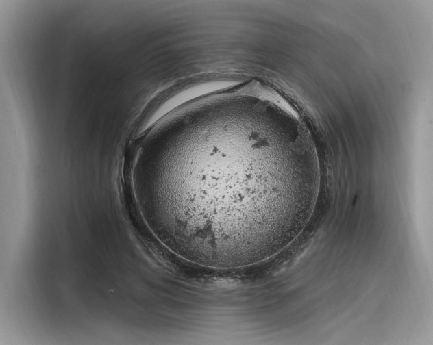 X0000116110592200911301124