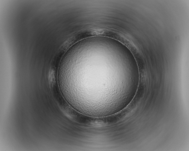 X0000116110598200911301124