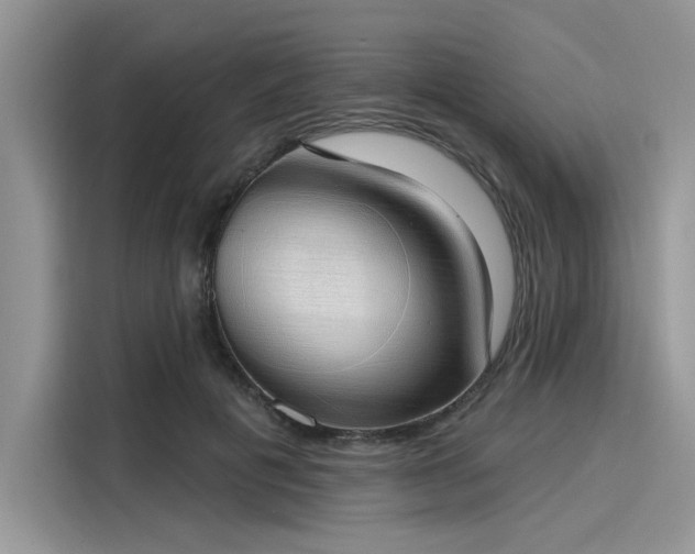 X0000116110601200911301124