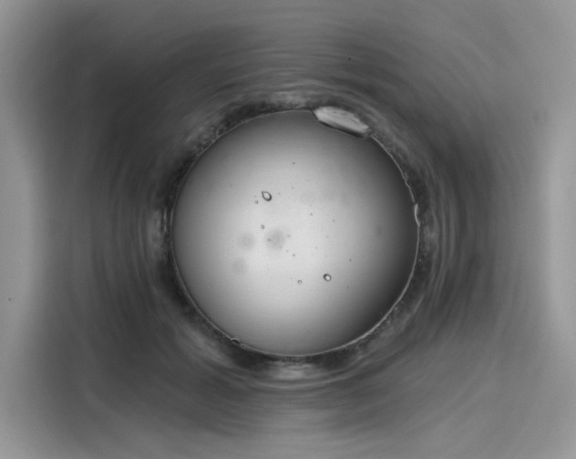 X0000116110605200911301124