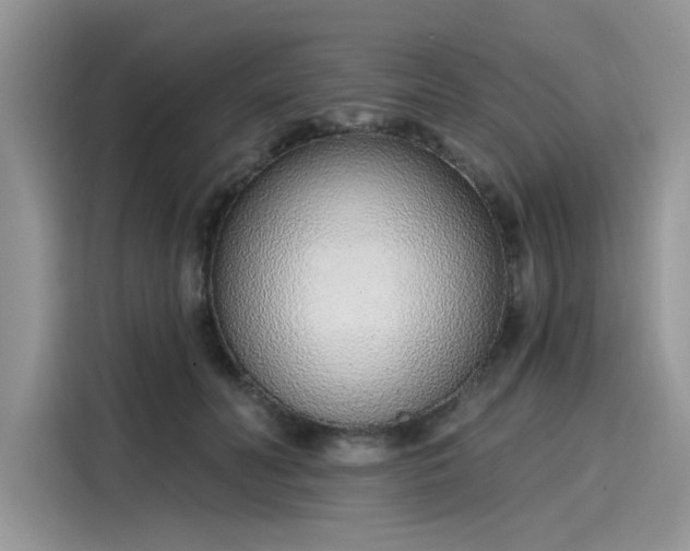 X0000116110606200911301124