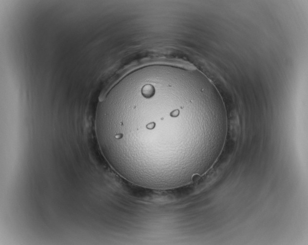 X0000116110608200911301124