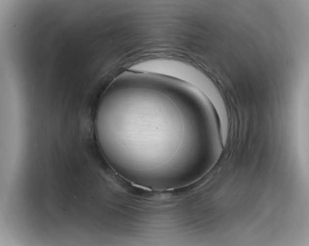 X0000116110609200911301124