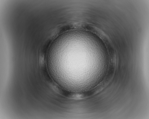 X0000116110610200911301124