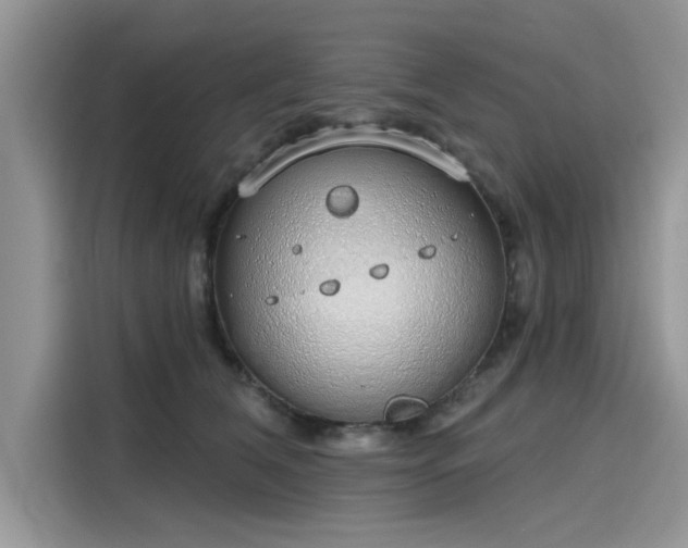 X0000116110612200911301124