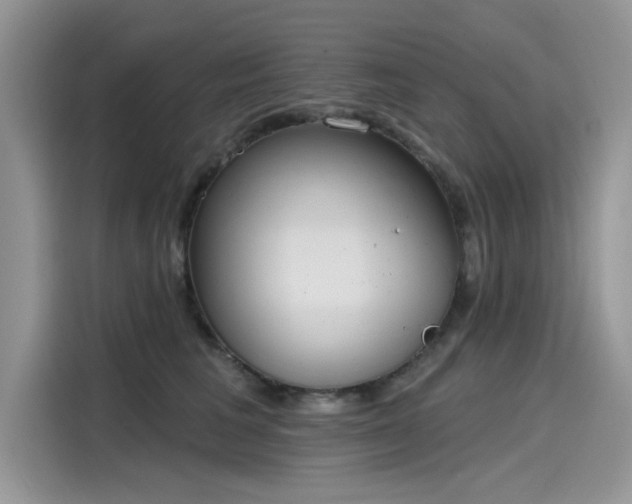 X0000116110613200911301124