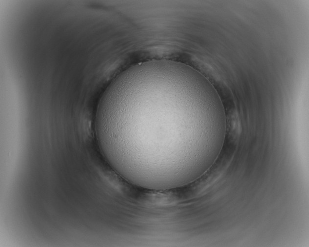 X0000116110615200911301124