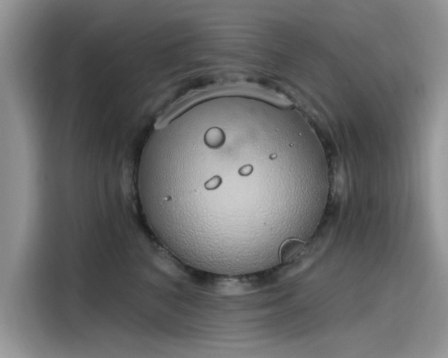 X0000116110616200911301124