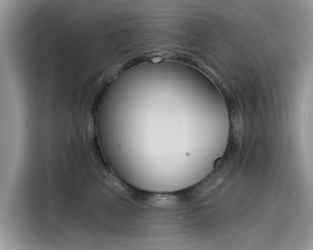 X0000116110617200911301124