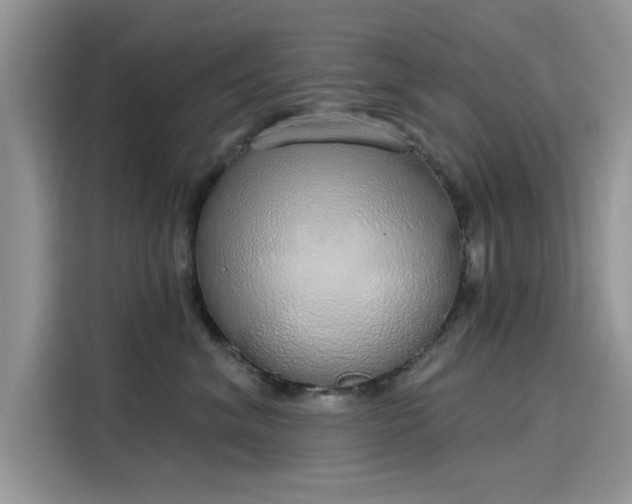 X0000116110620200911301124