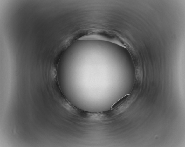 X0000116110621200911301124