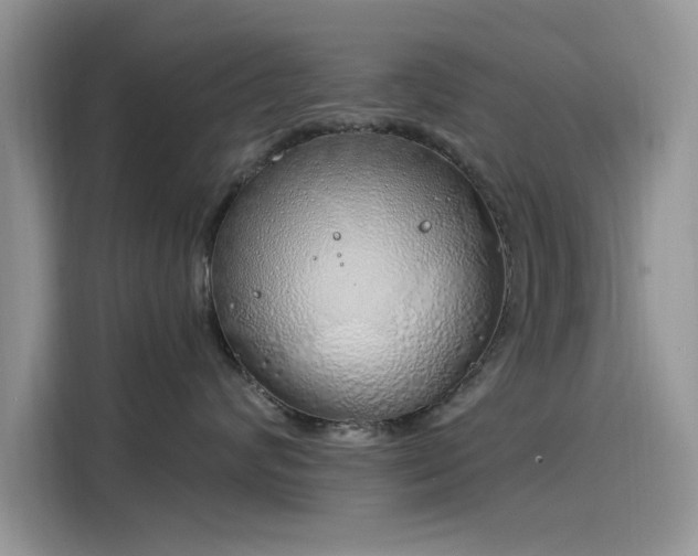 X0000116110624200911301124