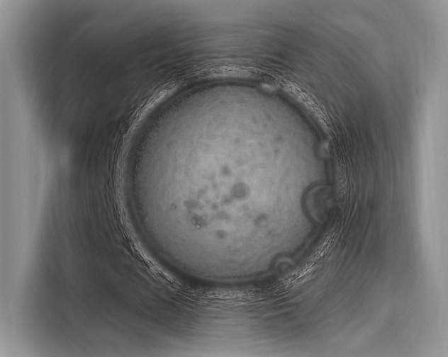 X0000116110625200911301123