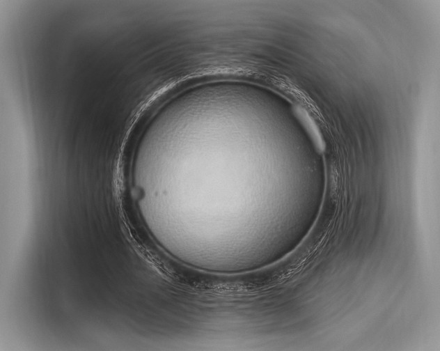 X0000116110628200911301123