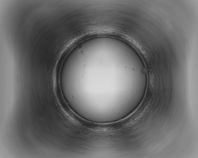 X0000116110629200911301123