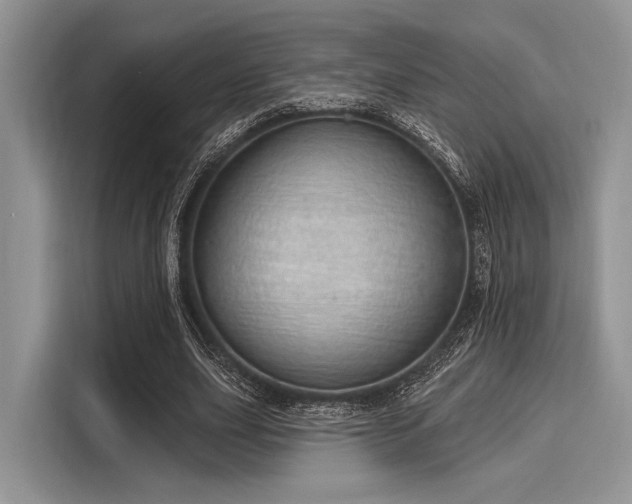 X0000116110631200911301123