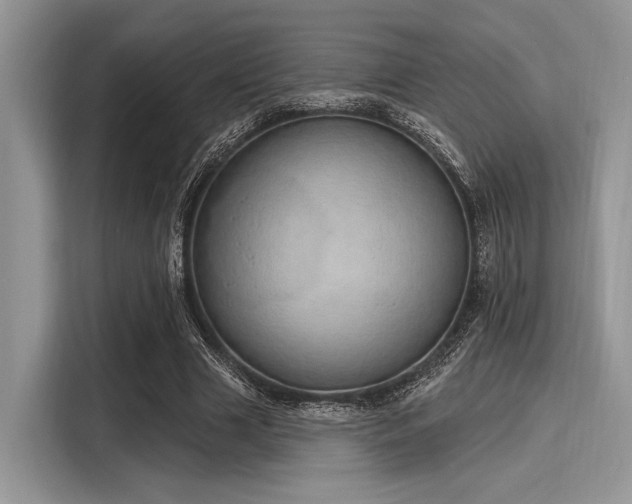 X0000116110633200911301123