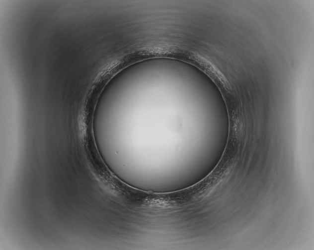 X0000116110635200911301123