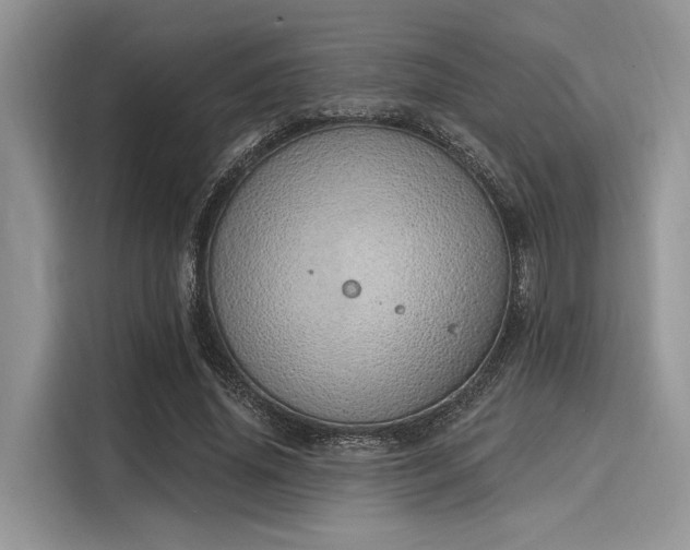 X0000116110636200911301123