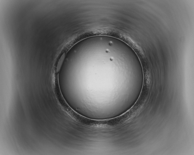 X0000116110637200911301123