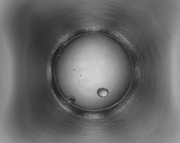 X0000116110638200911301123