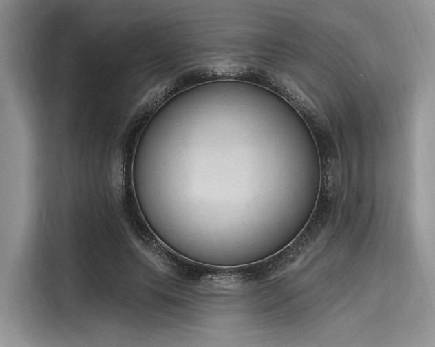 X0000116110639200911301124