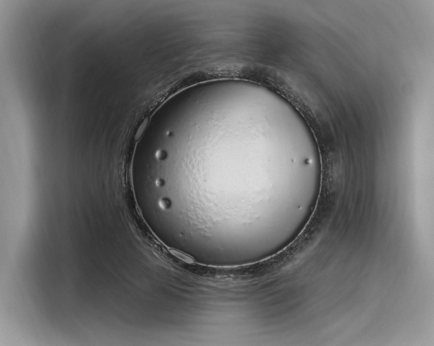 X0000116110641200911301124