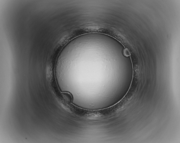 X0000116110642200911301124