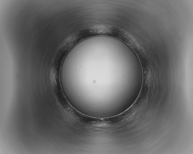 X0000116110643200911301124