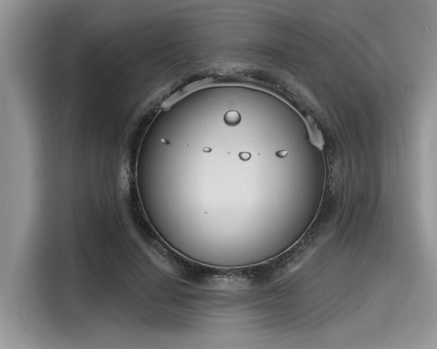 X0000116110644200911301124