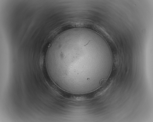 X0000116110645200911301124