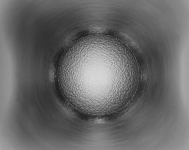 X0000116110647200911301124