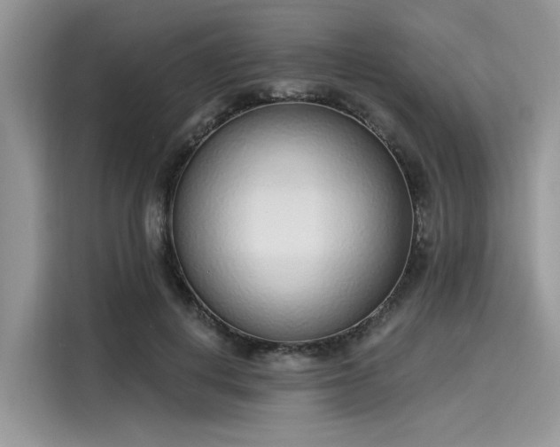 X0000116110648200911301124